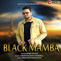 Black Mamba Babu Singh MP3 Song, Black Mamba Album