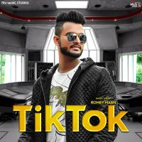 Tik Tok Romey Maan MP3 Song, Tik Tok Album