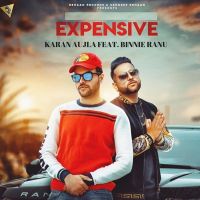 Expensive Binnie Ranu, Karan Aujla MP3 Song, Expensive Album