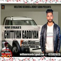 Gaddiyan Navi Syalka MP3 Song, Gaddiyan Album