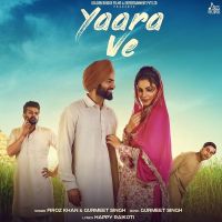 Yaara Ve Feroz Khan, Gurmeet Singh MP3 Song, Yaara Ve Album