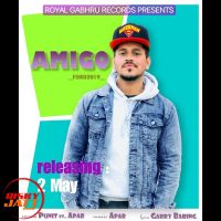 Ford Punit, Apar MP3 Song, Ford Album