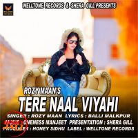 Tere Naal Viyahi Rozi Maan MP3 Song, Tere Naal Viyahi Album