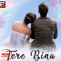 Tere Bina Lakhi Oye MP3 Song, Tere Bina Album