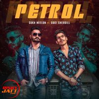 Petrol Sukh Neelon, Gogi Shergill MP3 Song, Petrol Album
