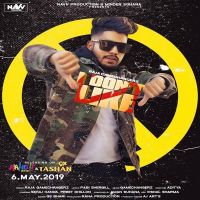 I Dont Like Raja Game Changerz MP3 Song, I Dont Like Album