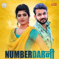 Numberdarni Mohit Sharma MP3 Song, Numberdarni Album