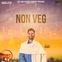 Non Veg Khushi Boort MP3 Song, Non Veg Album