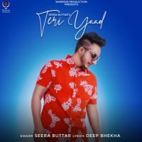 Teri Yaad Seera Buttar MP3 Song, Teri Yaad Album