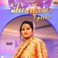 Shaukeen Gabroo Parveen Bharta MP3 Song, Shaukeen Gabroo Album