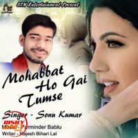 Download Mohabbat Ho Gai Tumse Sonu Kumar mp3 song, Mohabbat Ho Gai Tumse lyrics