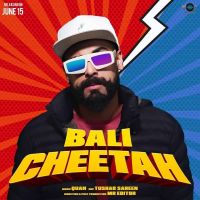 Cheetah Bali MP3 Song, Cheetah Album