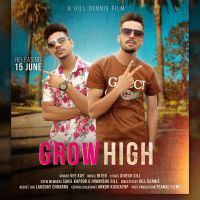 Grow Vee Kay MP3 Song, Grow Album