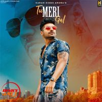 Tu Meri Gal Karan Singh Arora MP3 Song, Tu Meri Gal Album