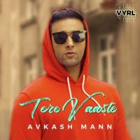 Tere Vaaste Avkash Mann MP3 Song, Tere Vaaste Album