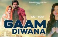 Gaam Diwana Vimu Gupta, Ruchika Jangid MP3 Song, Gaam Diwana Album