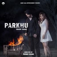 Parkhu Shabbi Mahal MP3 Song, Parkhu Album