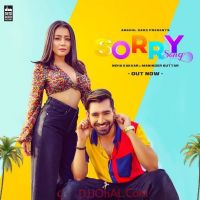Sorry Song Neha Kakkar, Maninder Buttar MP3 Song, Sorry Song Album