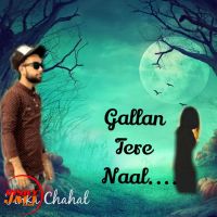Gallan Tere Naal Tinka Chahal MP3 Song, Gallan Tere Naal Album