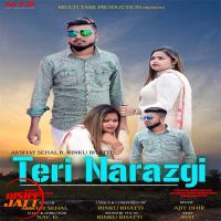 Teri Narazgi Akshay Sehal MP3 Song, Teri Narazgi Album