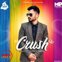 Crush Tej E Sidhu MP3 Song, Crush Album