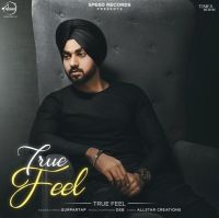 True Feel Gurpartap MP3 Song, True Feel Album