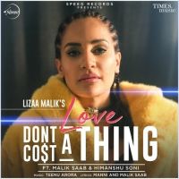 Love Dont Cost A Thing Lizaa Malik, Malik Sahab MP3 Song, Love Dont Cost A Thing Album