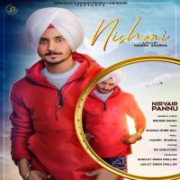 Nishani Nirvair Pannu MP3 Song, Nishani Album