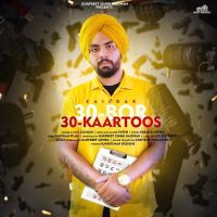 30 Bor 30 Kaartoos Zaildar MP3 Song, 30 Bor 30 Kaartoos Album