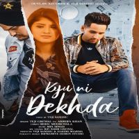 Kyu Ni Dekhda Teji Grewal MP3 Song, Kyu Ni Dekhda Album