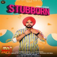 Stubborn Amrey Sidhu MP3 Song, Stubborn Album