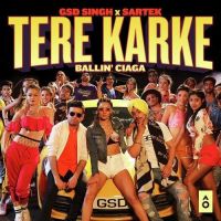 Tere Karke GSD Singh MP3 Song, Tere Karke Album