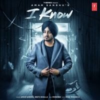 I Know Amar Sandhu, Neetu Bhalla MP3 Song, I Know Album