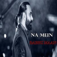 Na Mein Babbu Maan MP3 Song, Na Mein Album