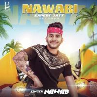 Nawabi Expert Jatt Returns Nawab MP3 Song, Nawabi Expert Jatt Returns Album
