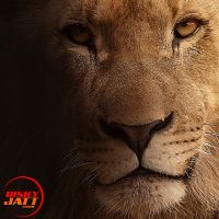 Soniye Anmol Sharma, Gabriel MP3 Song, Soniye Album