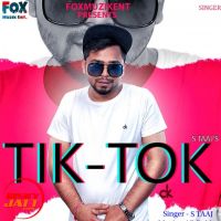 Tiktok S Taaj MP3 Song, Tiktok Album