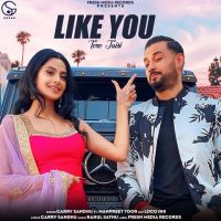 Like U Garry Sandhu MP3 Song, Like U (Tere Jaisi) Album