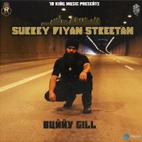 Surrey Diyan Streetan Bunny Gill MP3 Song, Surrey Diyan Streetan Album