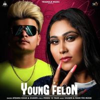 Young Felon Afsana Khan, Shawn MP3 Song, Young Felon Album