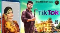 Tik Tok Sandeep Surila, Ajay Hooda MP3 Song, Tik Tok Album