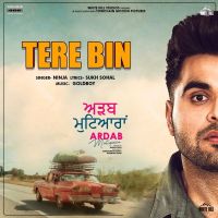 Tere Bin (Ardab Mutiyaran) Ninja MP3 Song, Tere Bin (Ardab Mutiyaran) Album
