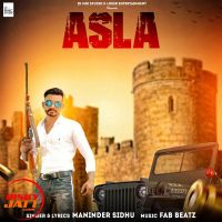 Asla Maninder Sidhu MP3 Song, Asla Album