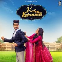Viah Nai Karauna Preetinder, Mr Faisu MP3 Song, Viah Nai Karauna Album