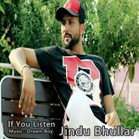 If You Listen Jindu Bhullar MP3 Song, If You Listen Album