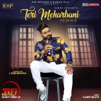 Teri Meharbani Sunny Urdhan MP3 Song, Teri Meharbani Album