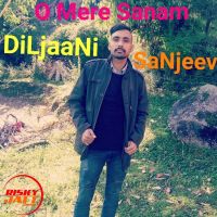 Download O Mere Sanam DiLjaaNi SaNjeev mp3 song, O Mere Sanam lyrics