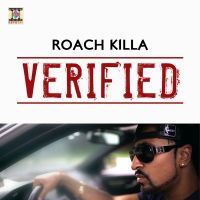 Dil Torna Roach Killa MP3 Song, Verified Album