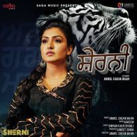Sherni Anmol Gagan Maan MP3 Song, Sherni Album