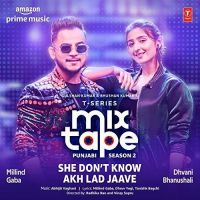 She Dont Know-Akh Lad Jaave (T-Series Mixtape Punjabi Season 2) Millind Gaba, Dhvani Bhanushali MP3 Song, She Dont Know-Akh Lad Jaave (T-Series Mixtape Punjabi Season 2) Album